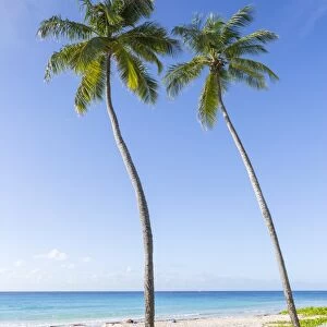 Hastings Beach, Bridgetown, Christ Church, , Barbados, West Indies, Caribbean, Central