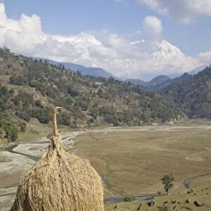 Hay bale, Sikles trek, Pokhara, Nepal, Asia
