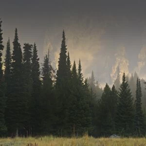 Hazy Teton Range and pine trees near Phelps Lake, Grand Teton National Park, Wyoming, United States of America, North America