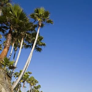 Heisler Park in Laguna Beach, Orange County, California, United States of America