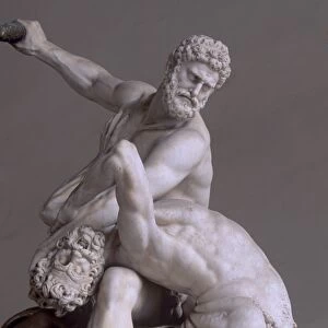 Hercules and Nessus by Giambologna