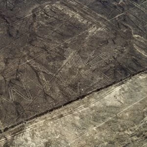 The Heron Geoglyph, aerial view, Nazca, UNESCO World Heritage Site, Ica Region, Peru