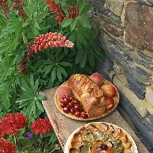 High angle view of still life of brioche and fruit tart patisserie outside in a garden with geraniums and lupins