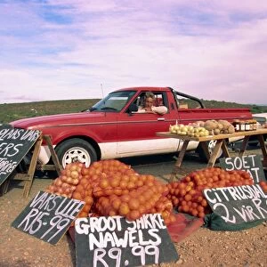 Highway fruit vendor