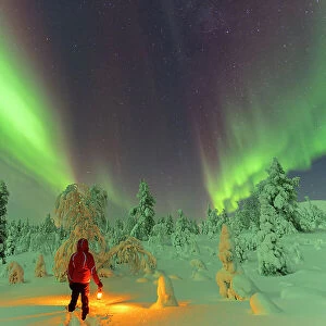 Hiker with lantern standing in the snow in the frozen wood admiring Northern Lights (Aurora Borealis), Pallas-Yllastunturi National Park, Muonio, Lapland, Finland, Europe