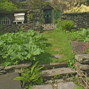 Hilltop, the home of Beatrix Potter, from the kitchen garden, Near Sawrey, Lake District National Park, Cumbria, England, United Kingdom