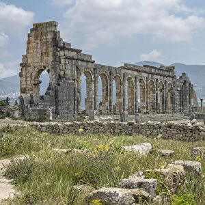 Historical site of ancient Roman ruins of Volubilis, UNESCO World Heritage Site, Morocco