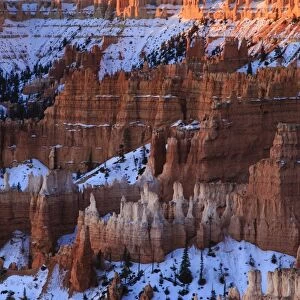 Hoodoos, rim and snow lit by dawn light in winter, Queens Garden Trail at Sunrise Point, Bryce Canyon National Park, Utah, United States of America, North America