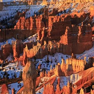 Hoodoos and snow lit by strong dawn light, Queens Garden Trail at Sunrise Point, Bryce Canyon National Park, Utah, United States of America, North America