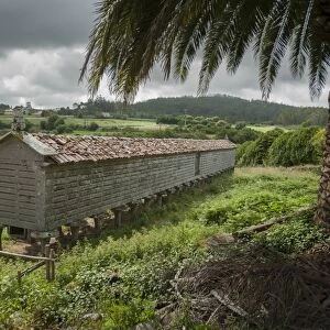 Horreo (stone granary), A Coruna, Galicia, Spain, Europe