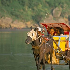 Horse and cart at the sanctuary of Ratu Kidul