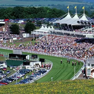 Horses racing and crowds, Goodwood Racecourse, West Sussex, England, United Kingdom