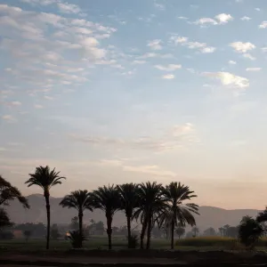 Hot air balloons carry tourists on early morning flights over the Valley of the Kings