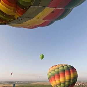 Hot air balloons flying over fields near Luxor, Egypt, North Africa, Africa