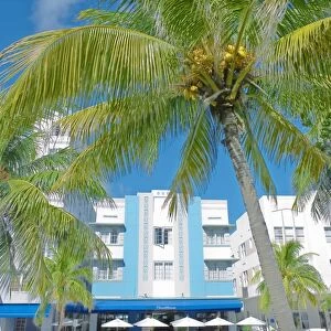 Hotel on Ocean Drive, Art Deco District, South Beach, Miami, Florida, United States of America
