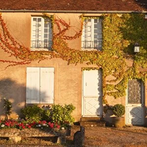 A house in the village of Vezelay, lit by the setting sun, Vezelay, Yonne, Burgundy, France, Europe