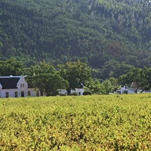 House in the wine growing area of Franschhoek