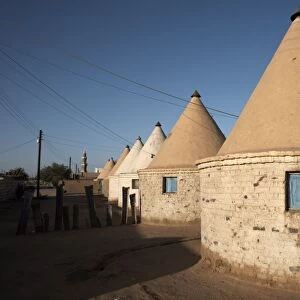Houses in the town of Karima