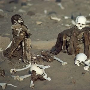 Human remains in a cemetery in the Nazca desert