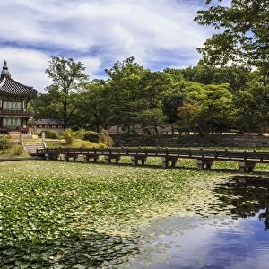 Hyangwonjeong pavilion and Chwihyanggyo bridge over water lily filled lake in summer