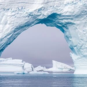 Icebergs near Booth Island, Antarctica, Southern Ocean, Polar Regions