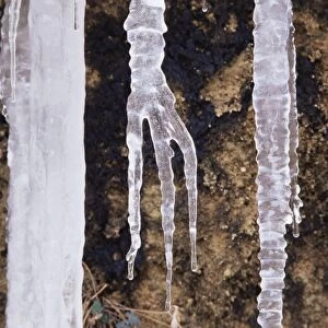 Icicles, Zion National Park, Utah, United States of America, North America