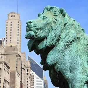 One of the two iconic bronze lion statues outside the Art Institute of Chicago, Chicago, Illinois, United States of America, North America
