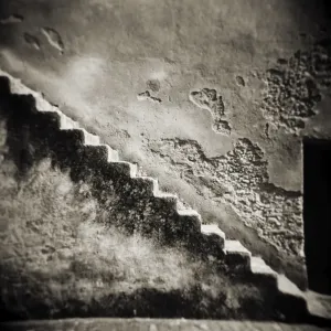 Image taken with a Holga medium format 120 film toy Image taken with a Holga medium format 120 film toy