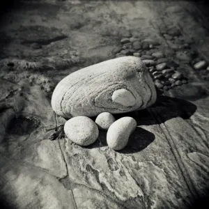 Image taken with a Holga medium format 120 film toy