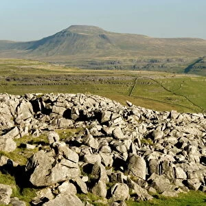 Ingleborough, seen from limestone benches above Kingsdale, Yorkshire Dales, Yorkshire, England, United Kingdom, Europe