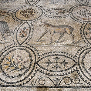 Interior of the Cathedral with the mosaic pavement, UNESCO World Heritage Site, Aquileia