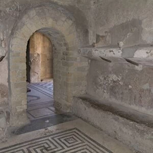 Interior and mosaic at Herculaneum