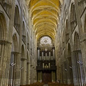 Interior of Notre Dame cathedral, built between 12th and 15th century, Rouen, Normandy, France, Europe