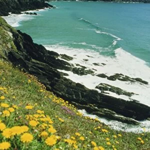 Irish summer colours, Slea Head, Dingle Peninsula, County Kerry, Munster