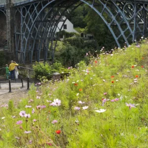 Ironbridge spanning 30m across the River Severn at Ironbridge, designed byThomas Pritchard and built by Abraham Derby, opened in 1789, UNESCO World Heritage Site, Shropshire, England, United Kingdom, Europe