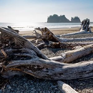 James Island and driftwood on the beach at La Push on the Pacific Northwest, Washington State