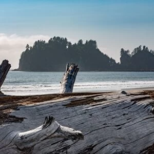 James Island with driftwood on the beach at La Push on the Pacific Northwest coast
