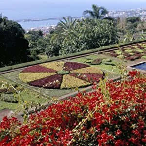 Jardim Botanico (Botanical Gardens)