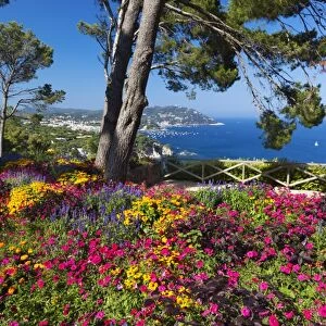 Jardins Botanico de Cap Roig, Calella de Palafrugell, Costa Brava, Catalonia, Spain, Mediterranean, Europe