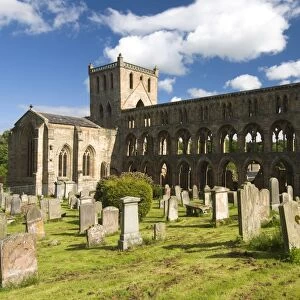 Jedburgh Abbey, Jedburgh, Scotland, United Kingdom, Europe