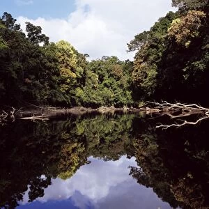 Kamarang River, Upper Mazaruni District, Guyana, South America