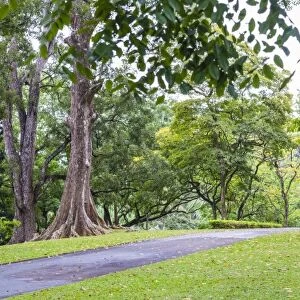 Kandy Royal Botanical Gardens, Peradeniya, Kandy, Sri Lanka, Asia