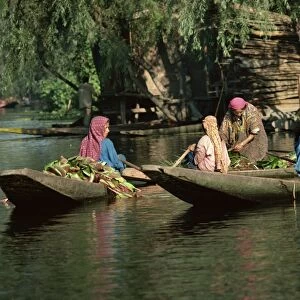 Kashmiri women, Dal Lake, Srinagar, Kashmir, India, Asia