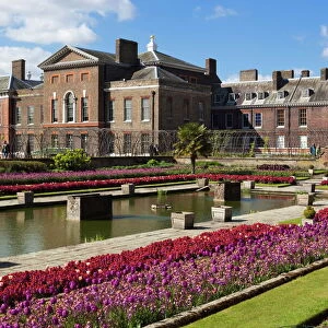 Kensington Palace gardens with tulips, Kensington Gardens, London, England, United Kingdom, Europe
