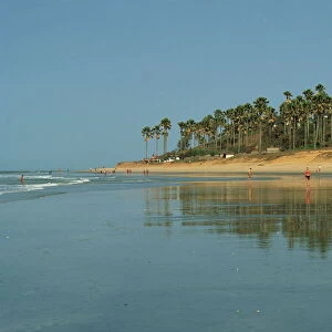 Kotu Beach, Gambia, West Africa, Africa