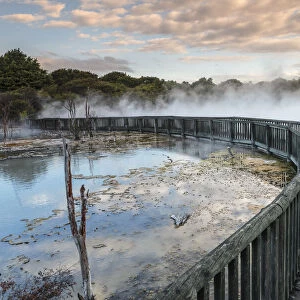 Kuirau Park, geothermics, Rotorua, Bay of Plenty, North Island, New Zealand, Pacific