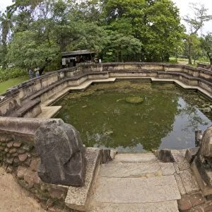 Kumara Pokuna, Royal Pond of King Parakramabahu, UNESCO World Heritage Site, Polunnaruwa, Sri Lanka