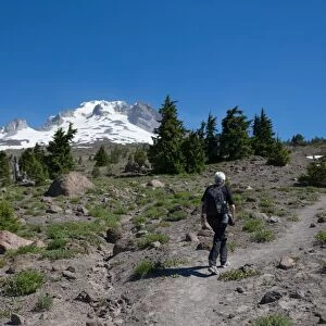 Lady hiker walking on a trail on Mount Hood, part of the Cascade Range, Pacific Northwest region