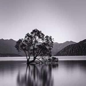 Lake Wanaka, Blue Hour, Mount-Aspiring National Park, UNESCO World Heritage Site, Otago