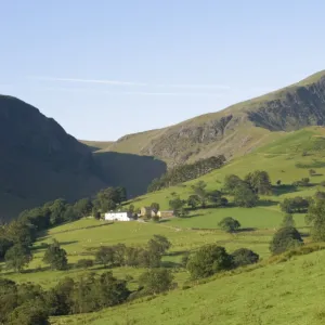 Lakeland farm below, Newlands Valley, Lake District National Park, Cumbria, England, United Kingdom, Europe